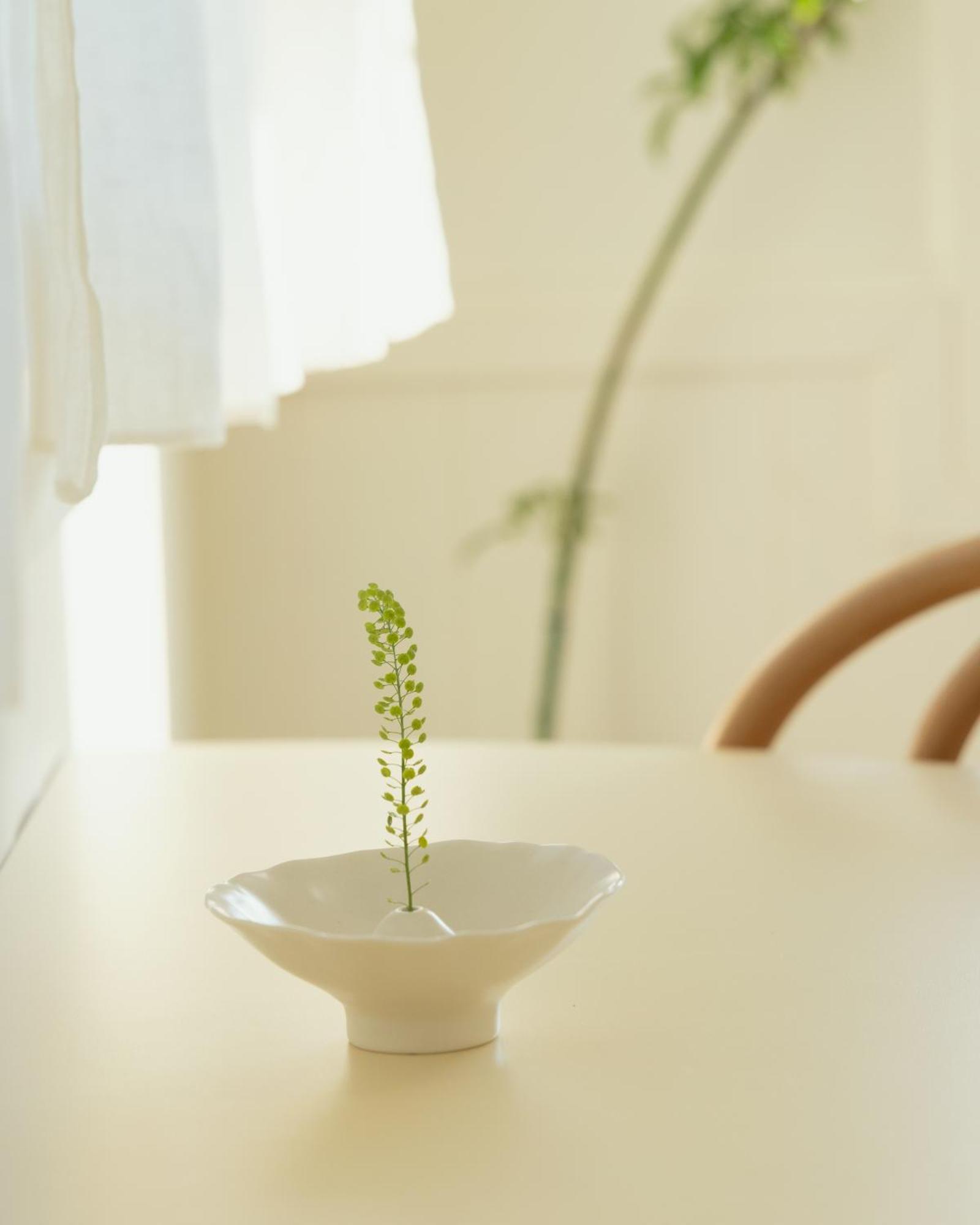 Soomhouse Renewal Open June 2024 Danyang Esterno foto